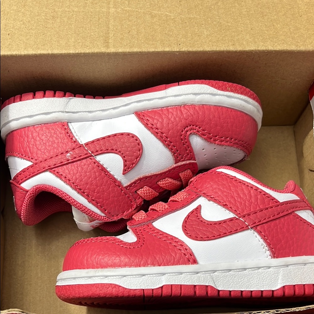 Toddler Nike Dunks